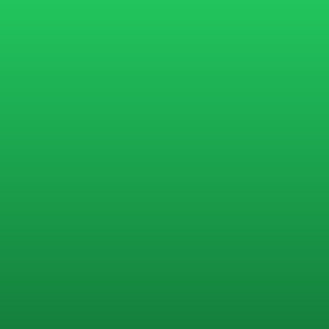 C.R. - Bavarian Radio Symphony Orchestra